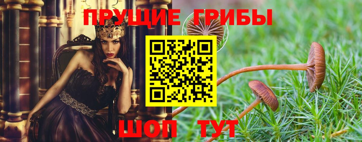 Псилоцибиновые грибы прущие грибы Сухой Лог
