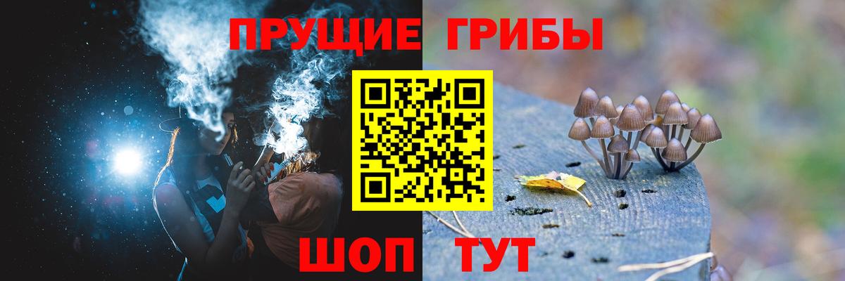 Псилоцибиновые грибы ЛСД  Вход с VPN  Сухой Лог  Галлюциногенные грибы GOLDEN TEACHER 